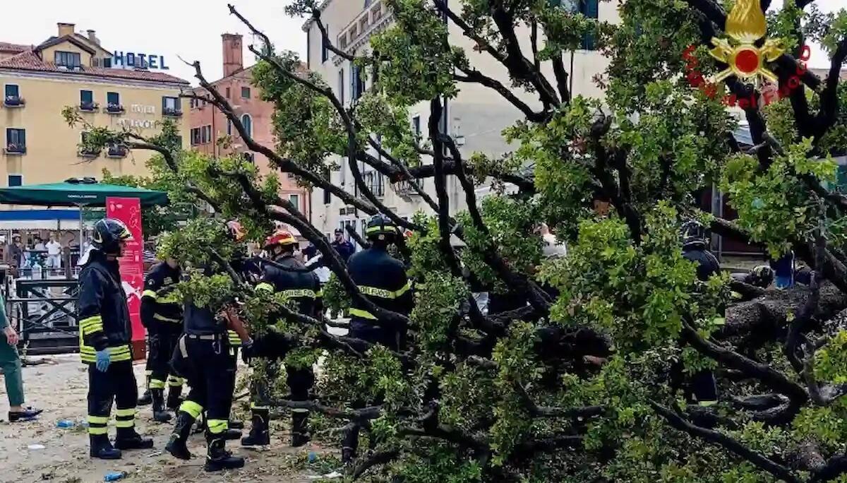 Piazzale Roma, albero crolla su una folla di turisti: dieci feriti, due gravi - 