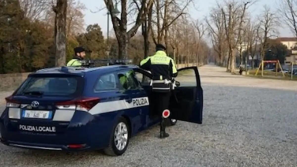 Treviso, ondata di controlli della Polizia locale: automobilisti multati, alimenti e droga sequestrati - 
