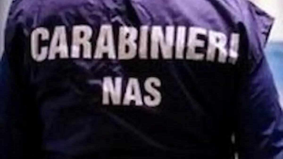 Feci di roditori nella farina: sequestro di 90 kg di alimenti e multa da 7600 euro per un rifugio - 