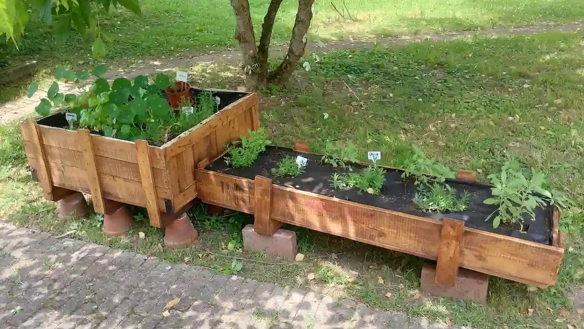 “FAI Fiorire” a Pordenone: orto e natura come terapia per adolescenti con disturbi neurosviluppo - 