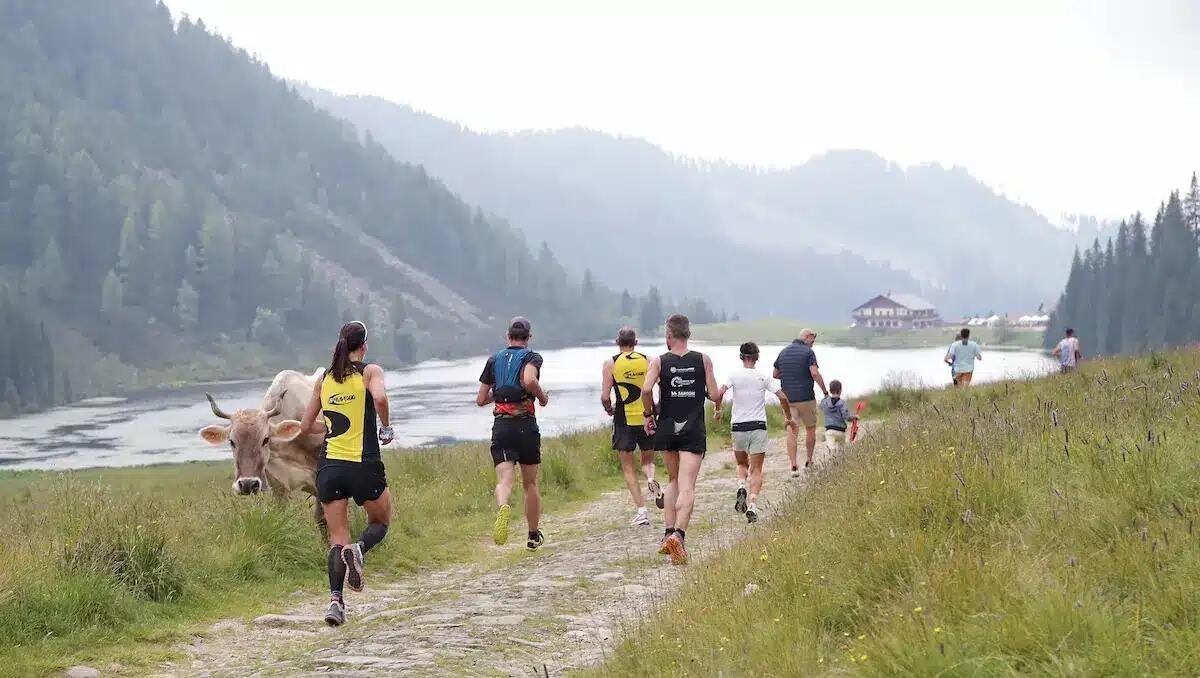 Primiero Marathon 2025, gara podistica di ben 26km: appuntamento al 5 luglio. Special guest: Ghemon - 