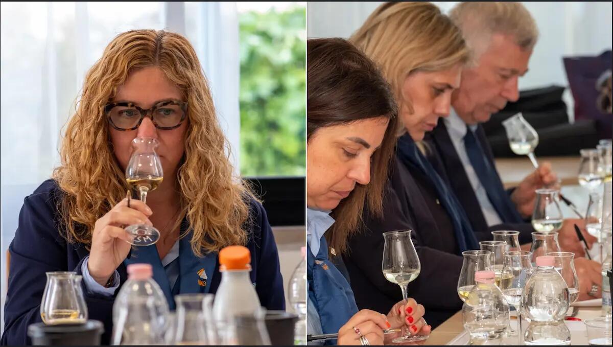 Le grappe friulane brillano all’Alambicco d’Oro con 4 medaglie: ecco quali sono -