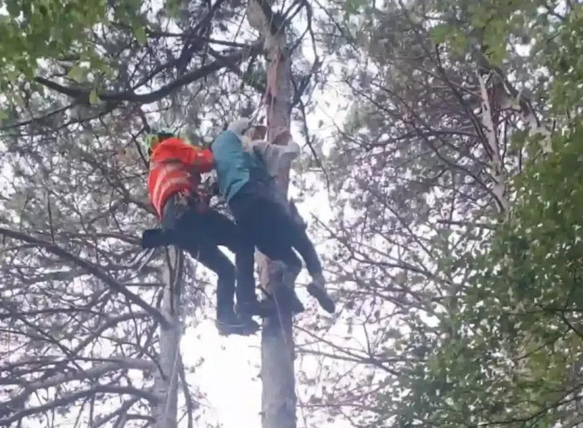 Pilota di parapendio precipita, salvata dagli alberi: rimane sospesa a 8 metri di altezza - 
