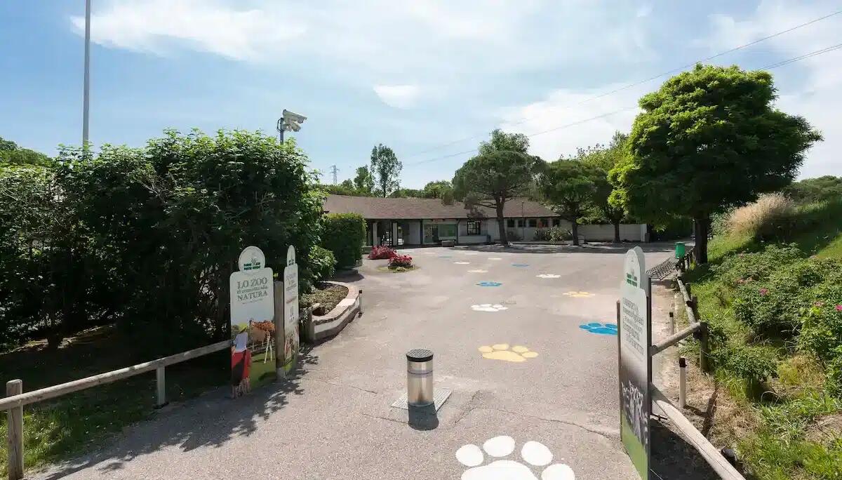 Esperienze autentiche a Lignano: tre escursioni settimanali tra natura, avventura e storia - 
