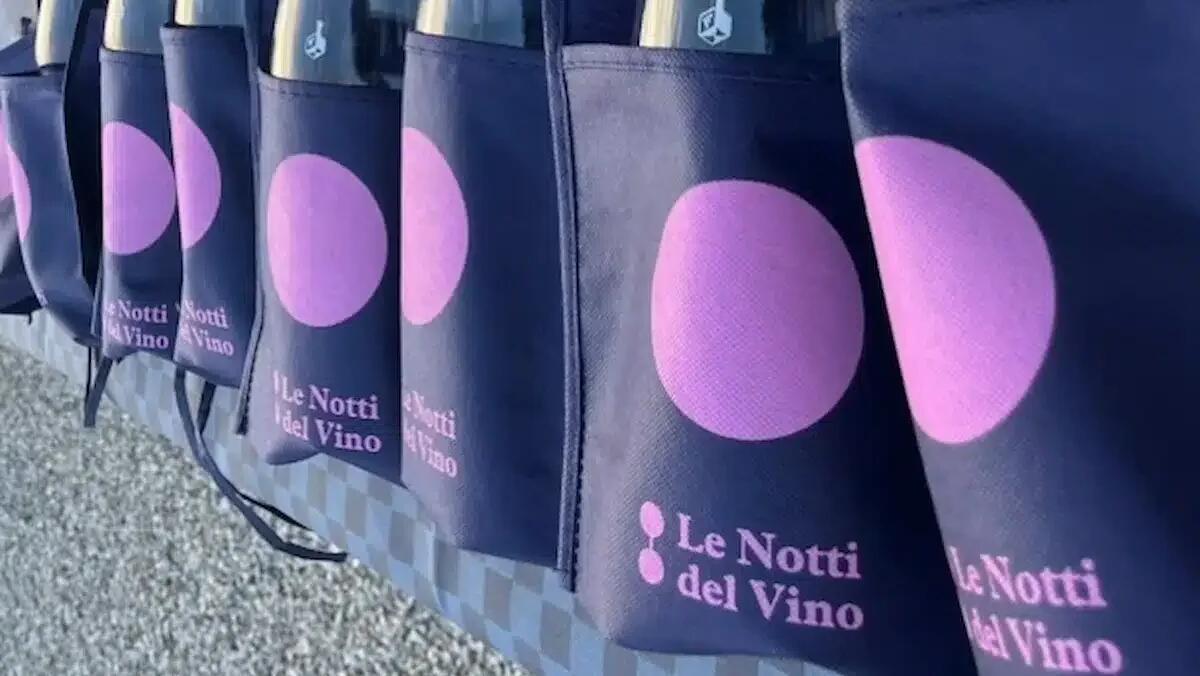 Le Notti del Vino arrivano a Premariacco: arte e degustazioni al Parco Scultoreo Braida Copetti -