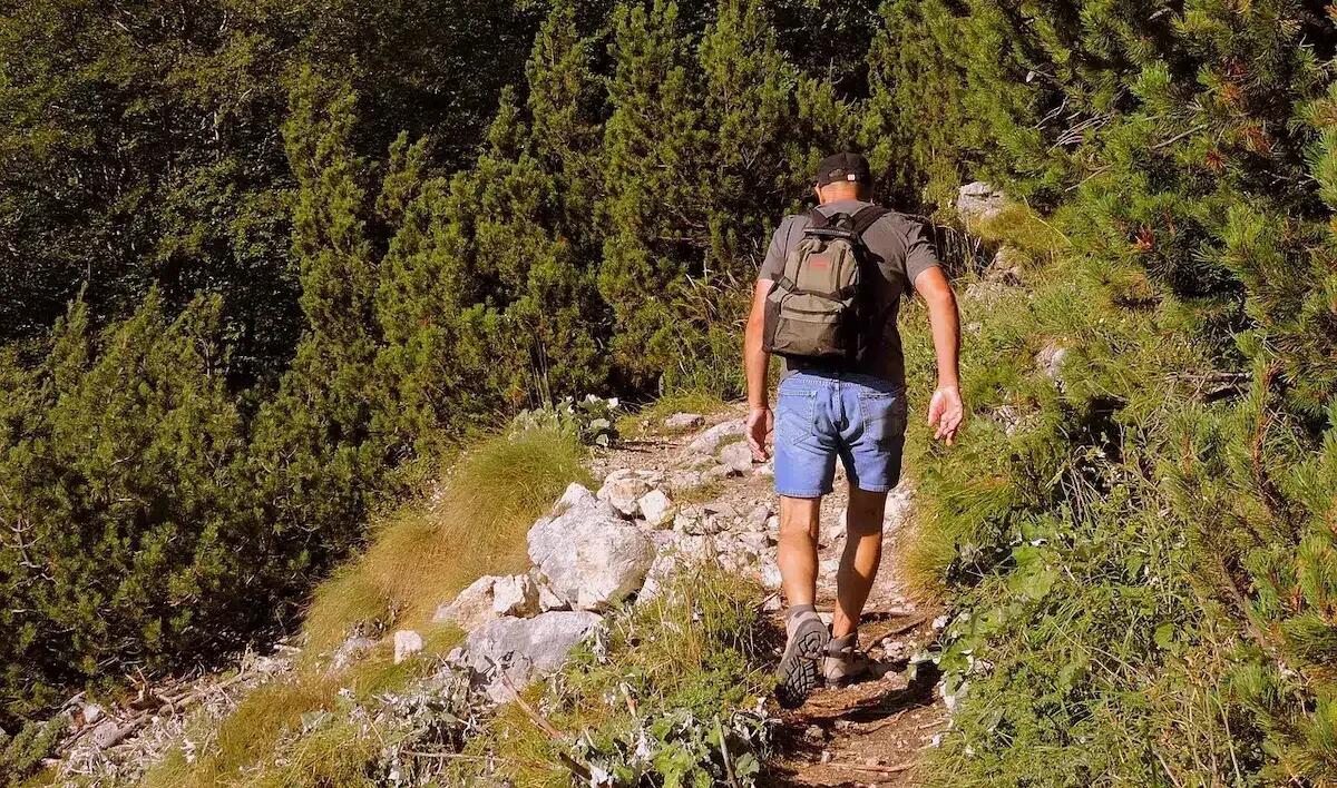 Questa passeggiata ti farà vedere il Friuli con gli occhi di un poeta sepolto e rinato - 