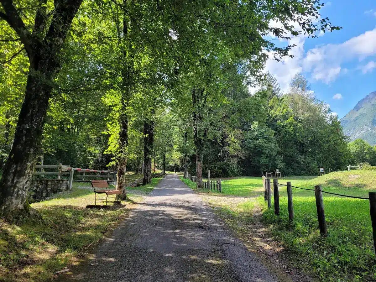 La passeggiata che racconta Ungaretti: in arrivo l’ultima tappa in Friuli - 