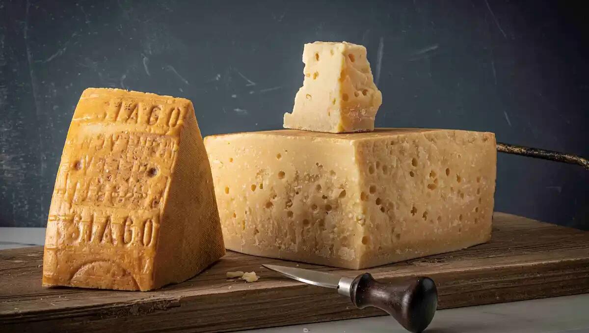 Successo globale per l’Asiago DOP: premiato 7 volte al Great Taste Award 2025 -