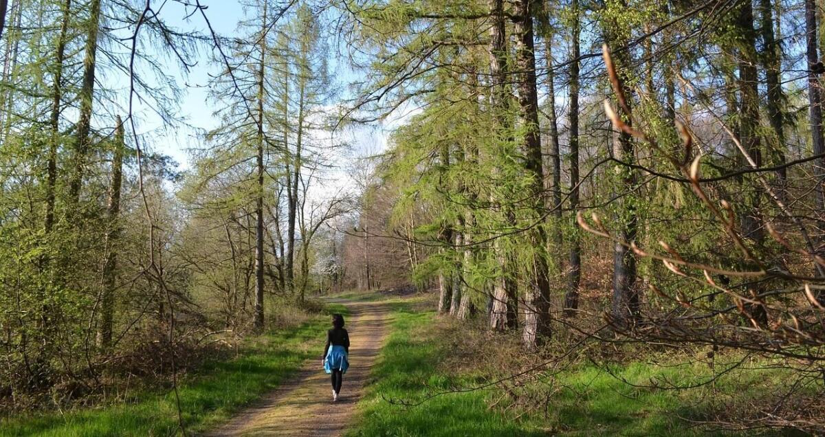 Respirare meglio: il ritorno ai gesti semplici in una società che corre troppo - 