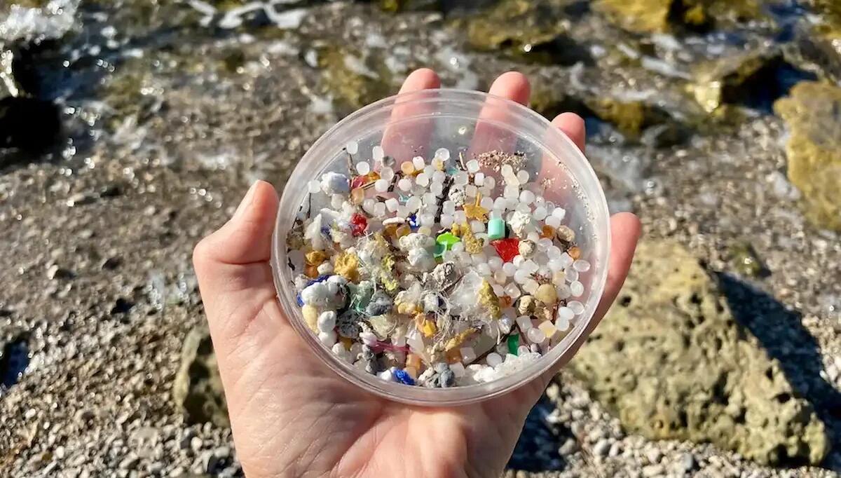 Microplastiche sotto i riflettori: incontro con Carlo Franzosini all’Immaginario Scientifico di Trieste -