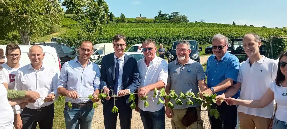 “Vite in campo” 2025: droni e robot per rivoluzionare il lavoro nei vigneti - 