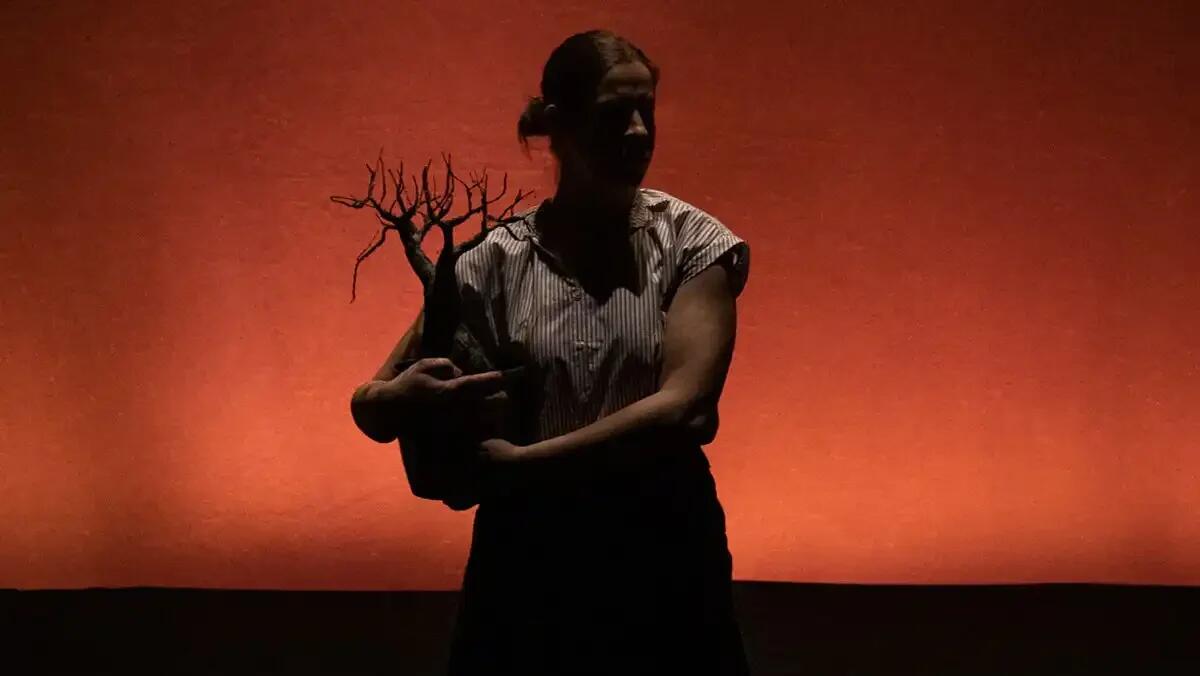 Teatro e memoria a Treviso: Matilde Vigna porta in scena “Una riga nera al piano di sopra” - 