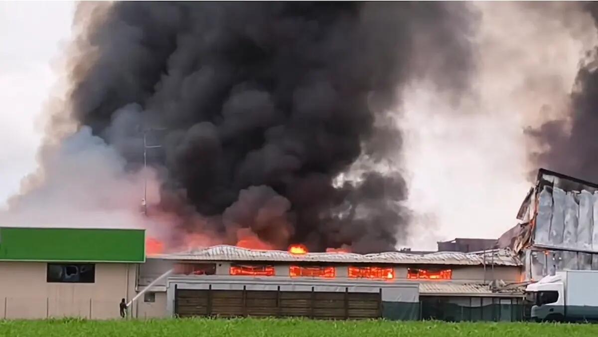 Maxi incendio in azienda a Cordignano: danni ingenti | FOTO - VIDEO - 
