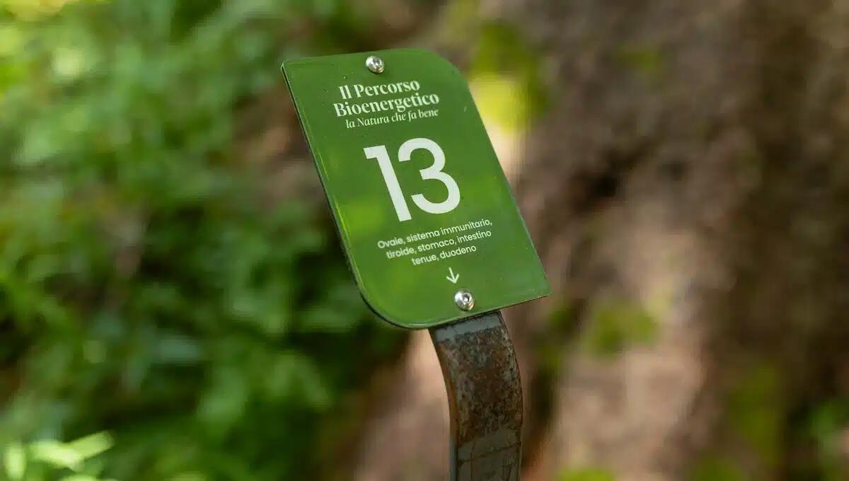Sauris lancia il Percorso Bioenergetico: un'esperienza gratuita con 22 tappe terapeutiche -