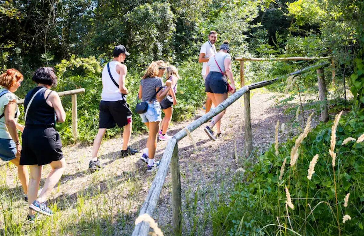 Dune, api e biciclette: il lato nascosto di Cavallino-Treporti che non ti aspetti - 