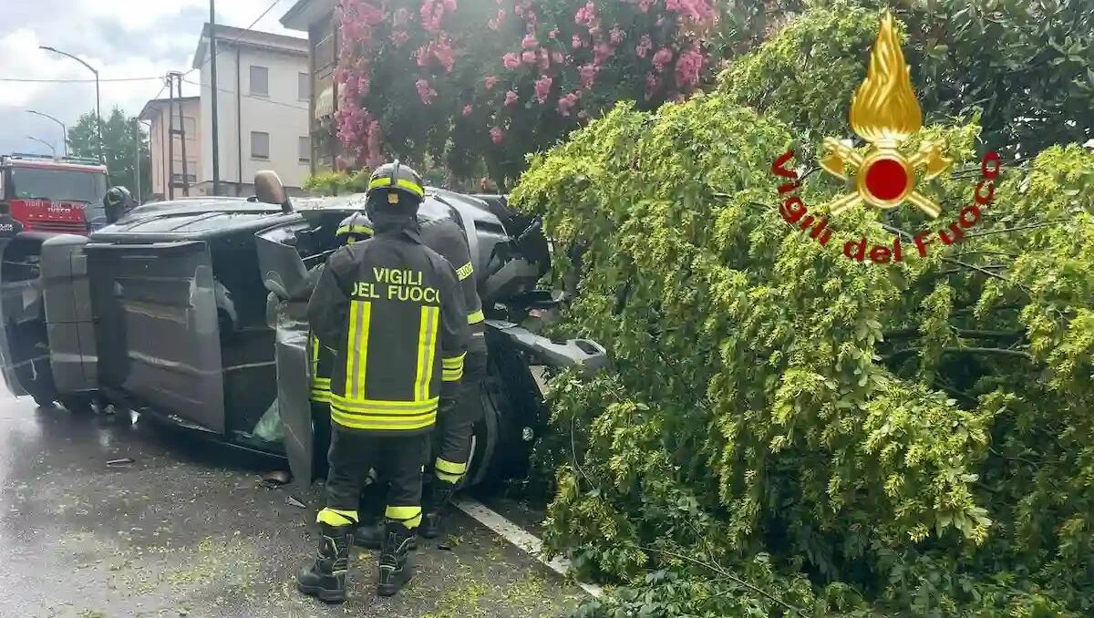 Auto si schianta contro un albero e lo abbatte: veicolo ribaltato, conducente rimane intrappolato all’interno - 