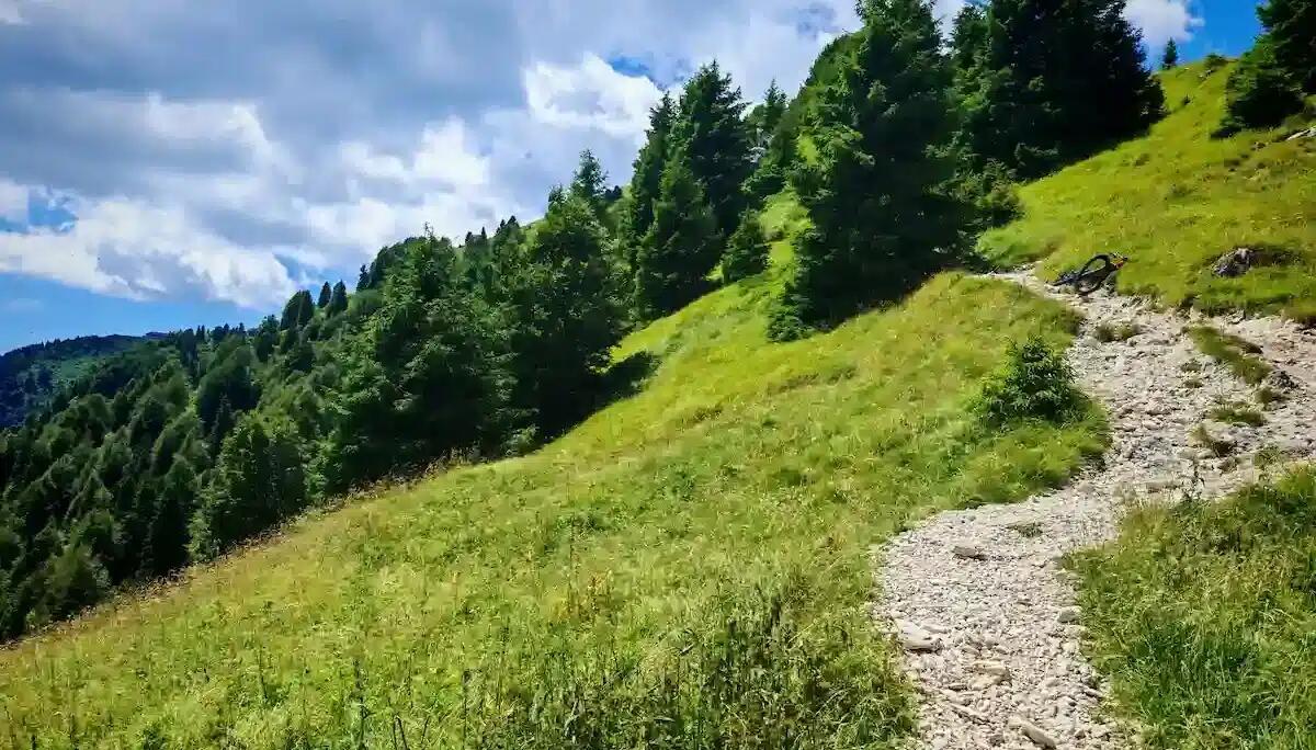 Vola con la mountain bike in una trincea profonda 3 metri: elisoccorso 65enne con trauma vertebrale - 