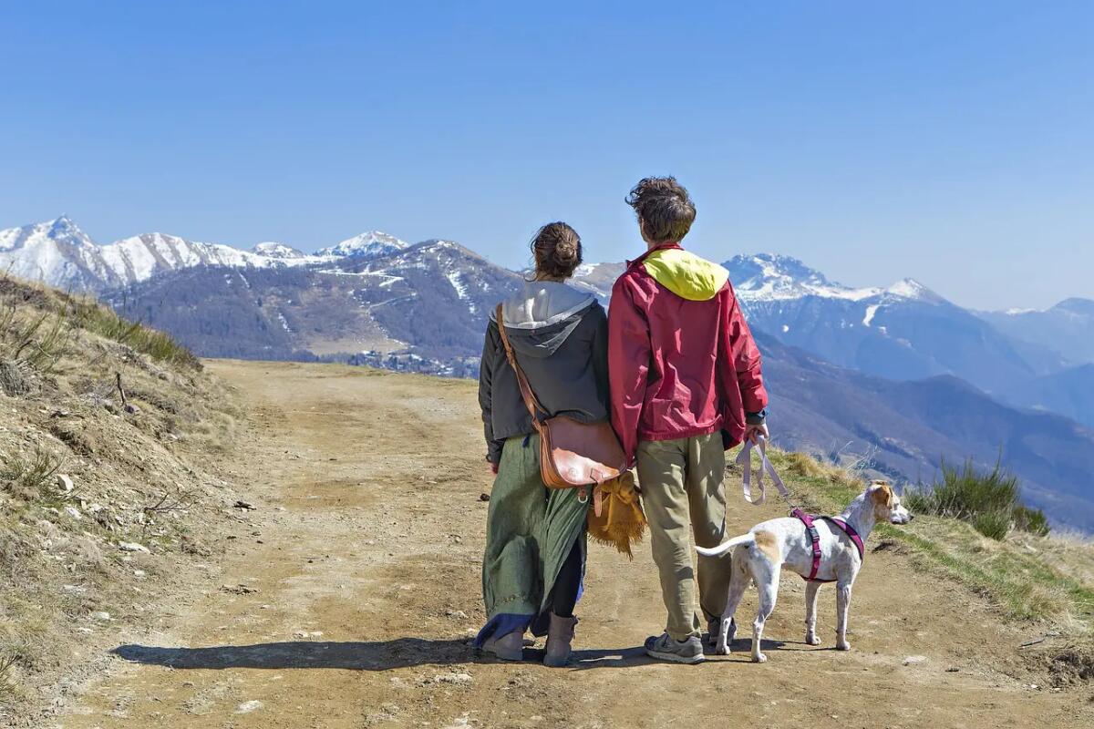 Cosa fare questo weekend in montagna: 7 eventi freschi tra musica, sagre e sentieri - 