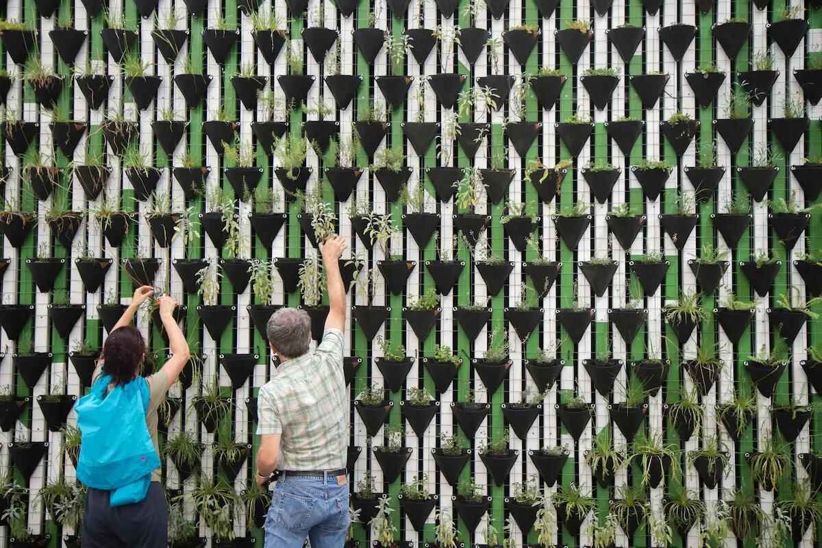 Italia a tutto green: 8 italiani su 10 sempre più interessati alla sostenibilità -
