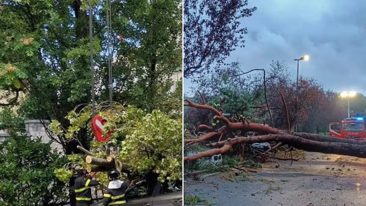 Maltempo in Friuli: allagamenti, frane e alberi caduti. Il bollettino della Protezione Civile -