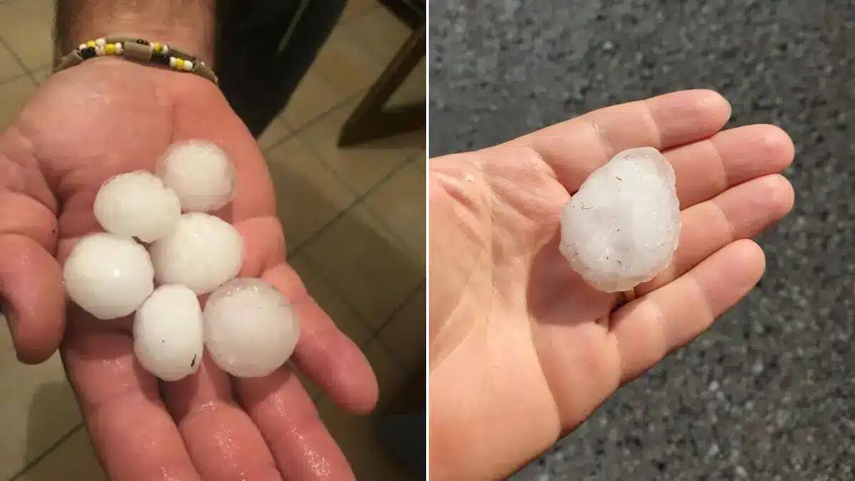 Violenta grandinata sul Coneglianese e nel territorio di San Vendemiano: «chicchi grandi come noci» - 