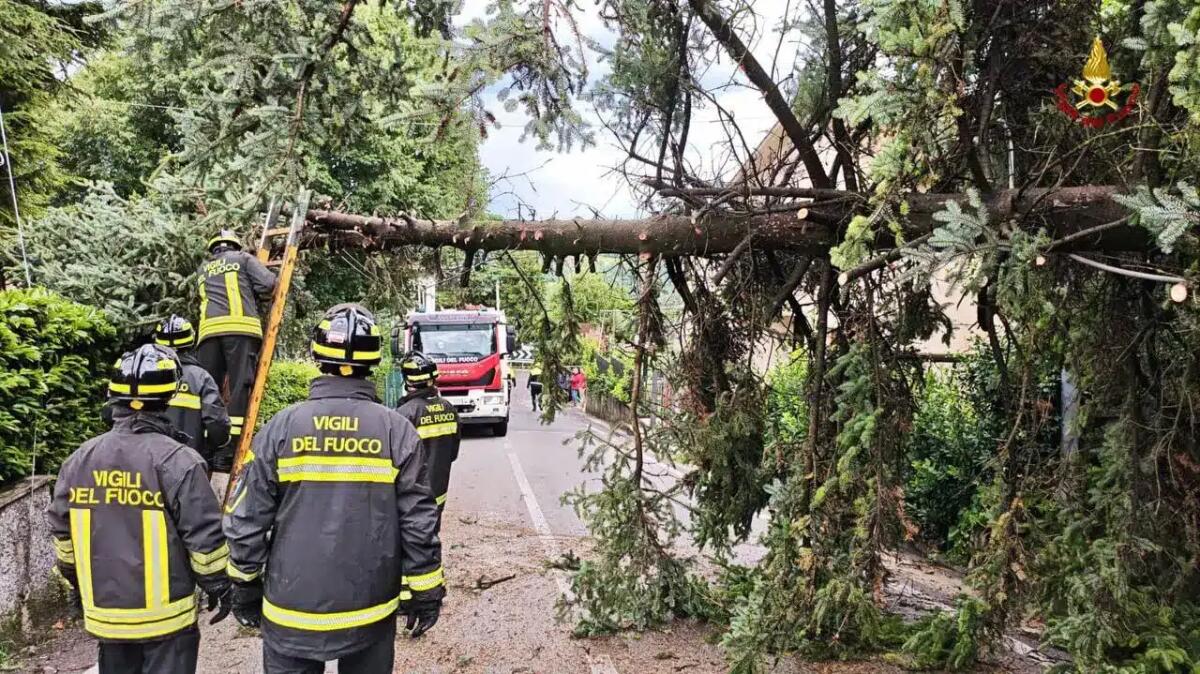 Maltempo nel Vicentino: conclusi oltre 130 interventi dei pompieri per alberi caduti e strade bloccate - 