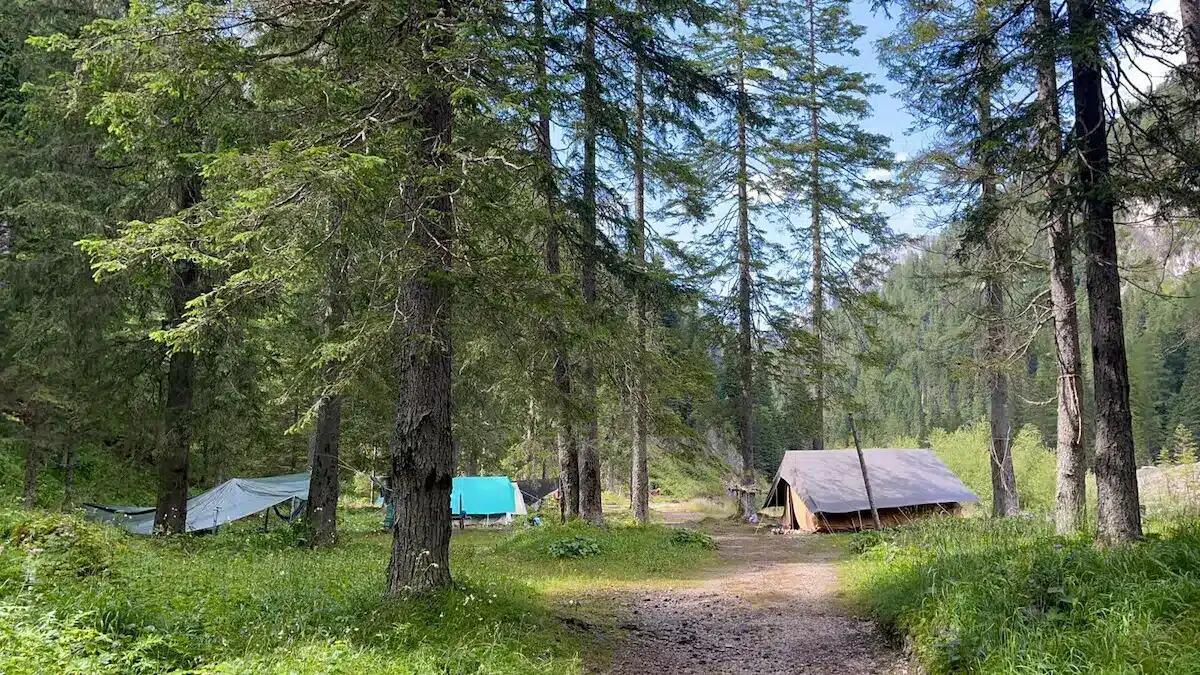 Oltre 300 scout belgi in Friuli Venezia Giulia: avventura, solidarietà e tradizione -