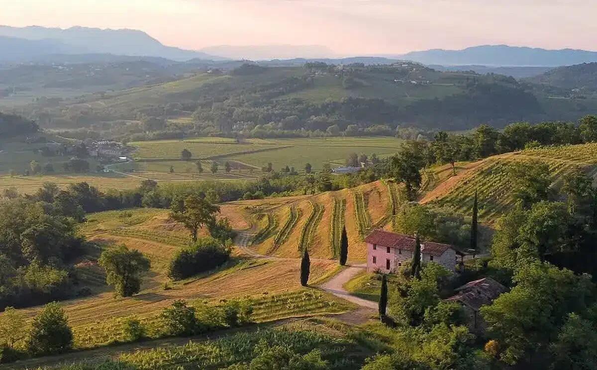 Cosa succede quando storia, vino e musica si incontrano in un borgo del Friuli? -