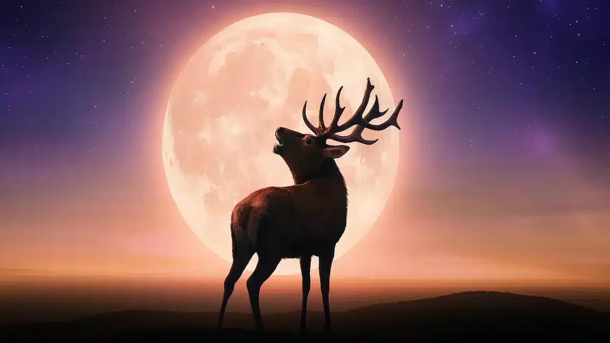 Luna piena del Cervo questa sera 10 luglio: significato, orario e come vederla al meglio - 