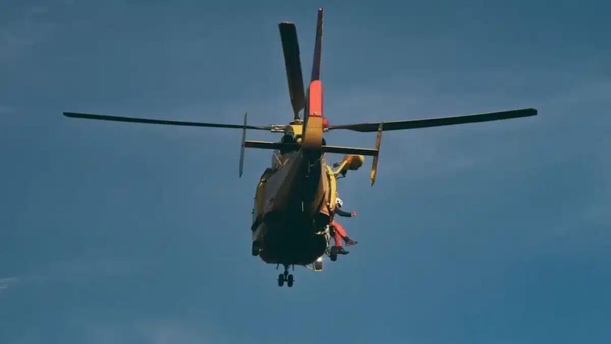 Insetto lo punge, 70enne va in shock anafilattico davanti al figlio: elitrasportato in ospedale - 