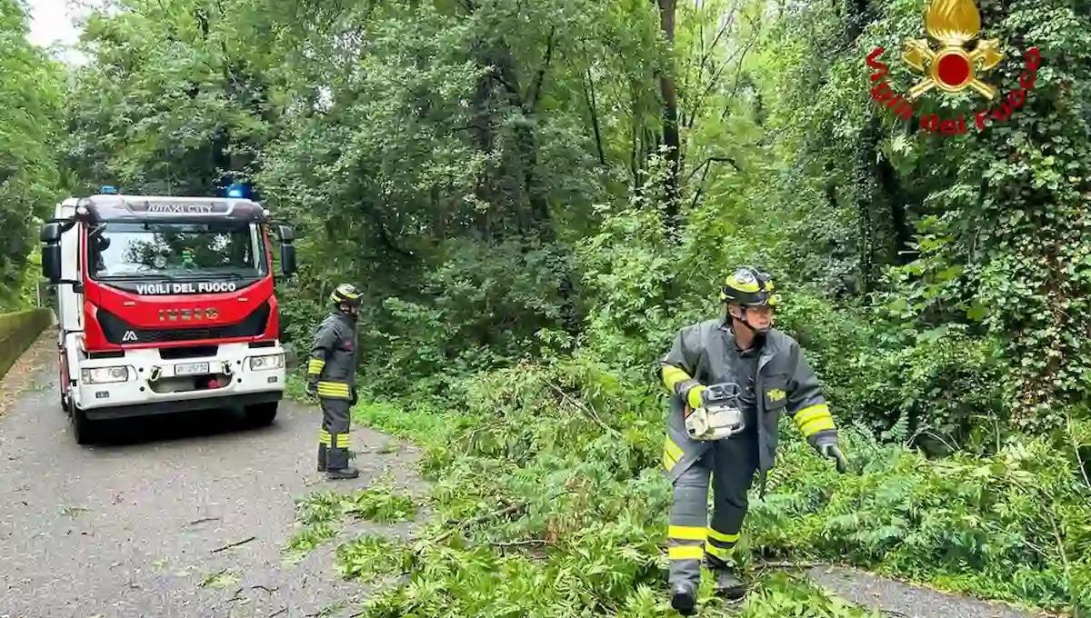 Maltempo, 35 interventi dei Vigili del Fuoco in Friuli Venezia Giulia: 15 ancora in corso -