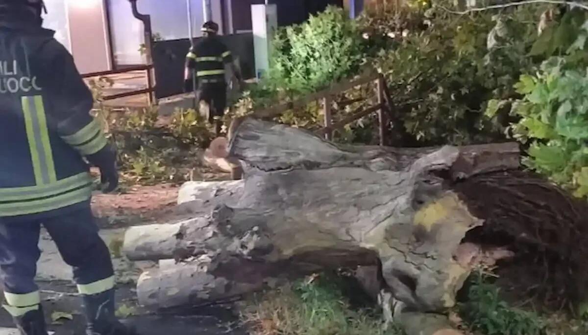 Maltempo nella Marca: 30 interventi dei pompieri nel giro di poche ore - 