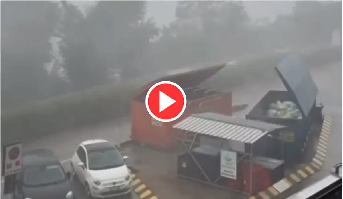 Tempesta di grandine e vento nel Vicentino: alberi caduti e disagi | IL VIDEO - 