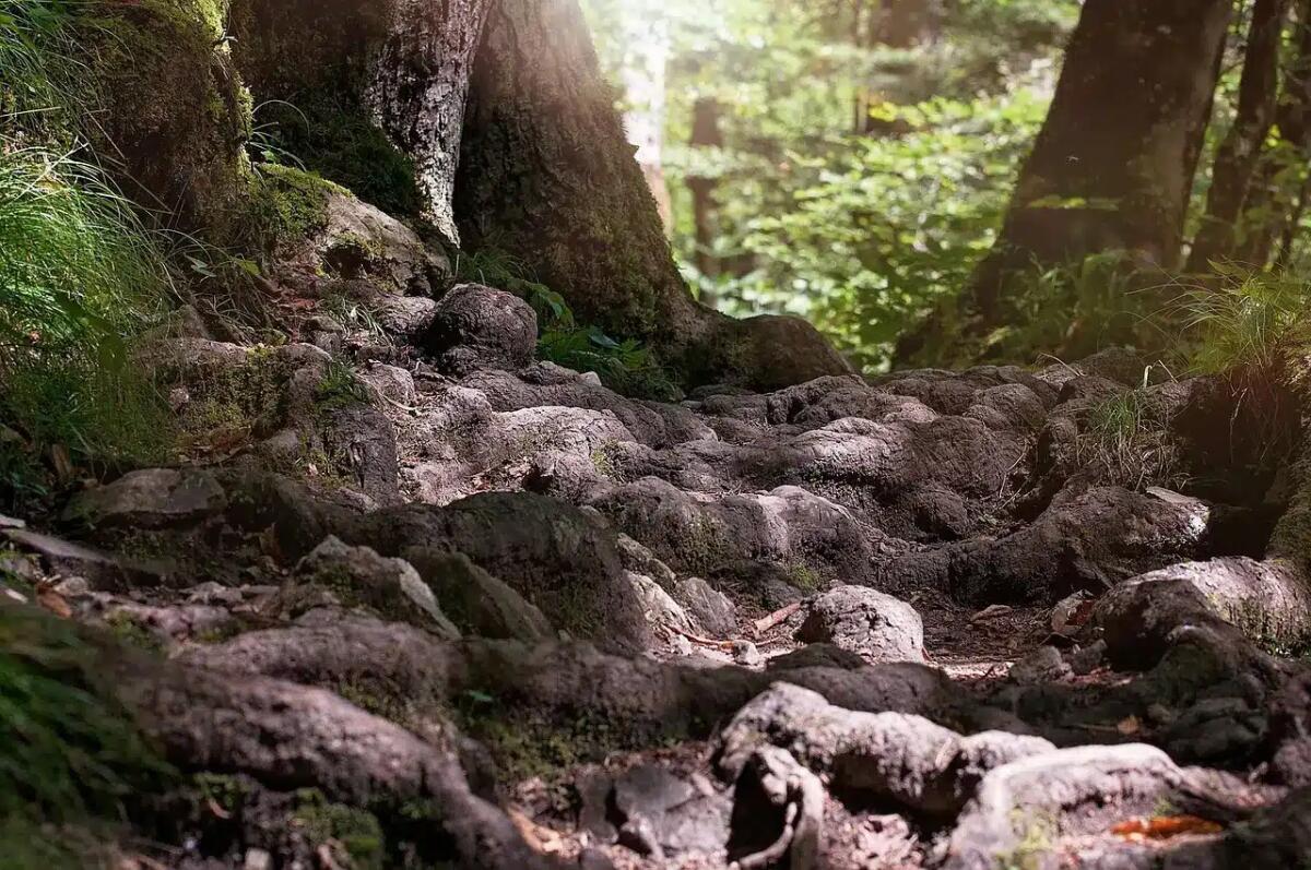 Questo sentiero tra i borghi nascosti del Friuli è un abbraccio tra storia e natura - 
