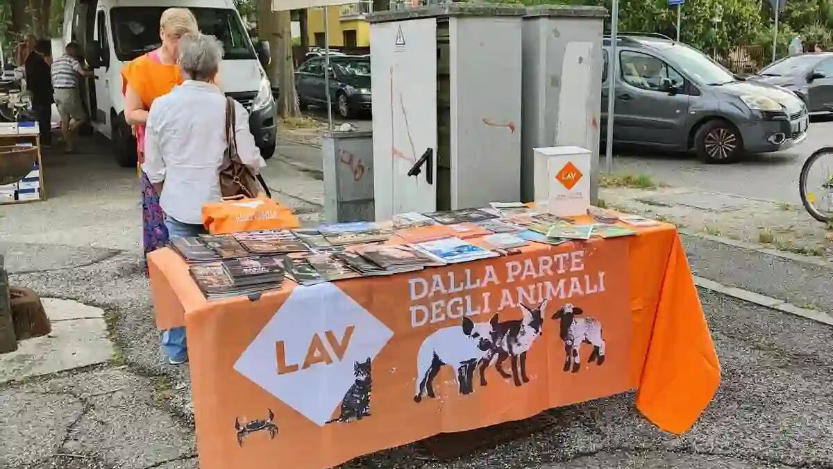 La LAV riapre a Udine con nuove iniziative per la tutela degli animali - 