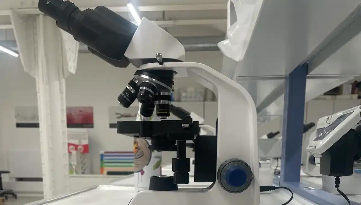 Immaginario Scientifico di Trieste: in arrivo 10 nuovi microscopi per scoprire il mondo invisibile - 