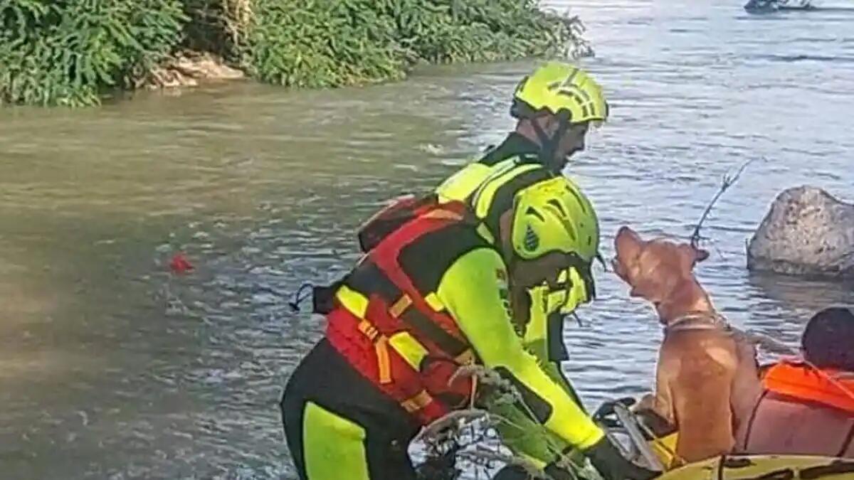 Salvataggio nel Piave, cane bloccato su un isolotto: riportato a riva dai Vigili del fuoco -