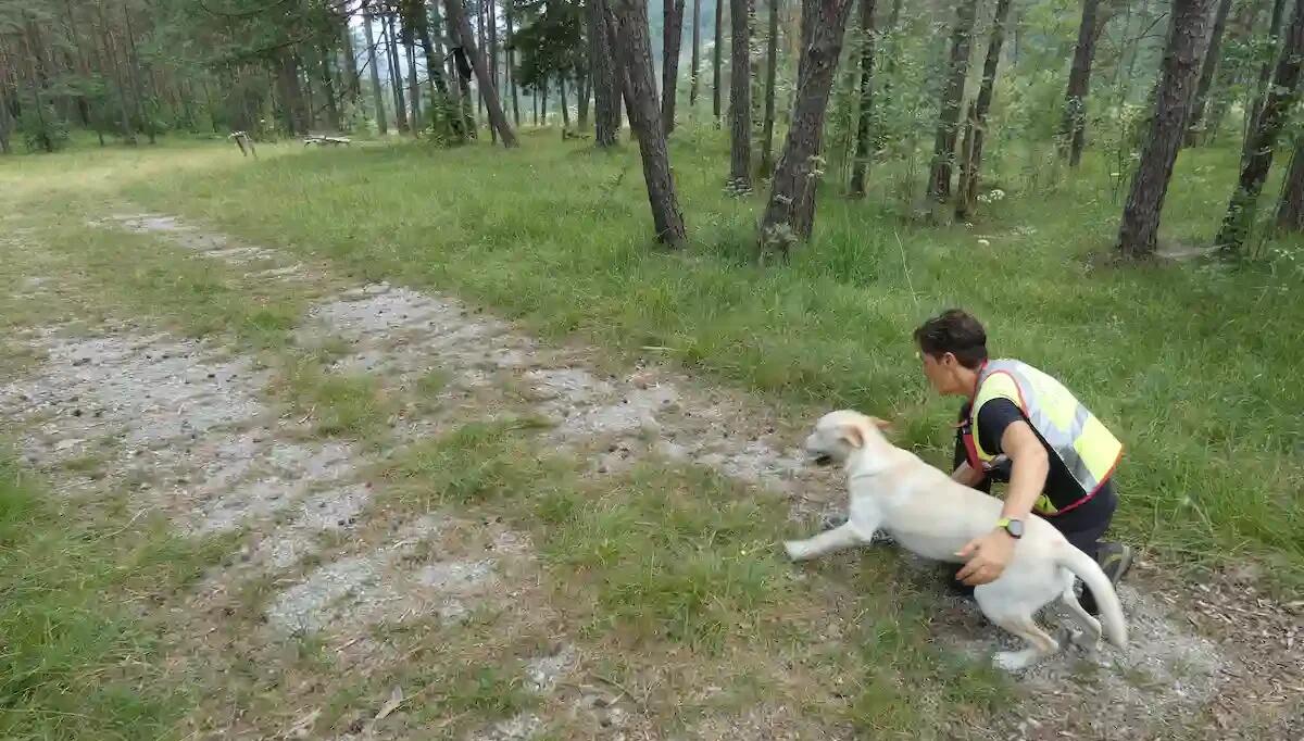 “Un’estate da cani”: serata informativa a Fiume Veneto con il medico veterinario Lia Gesuè -