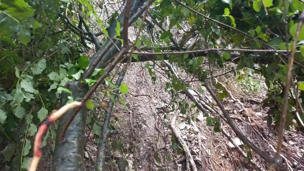 Frana a Scalon, chiusa la SP 1 bis in entrambe le direzioni: traffico bloccato a Setteville - 