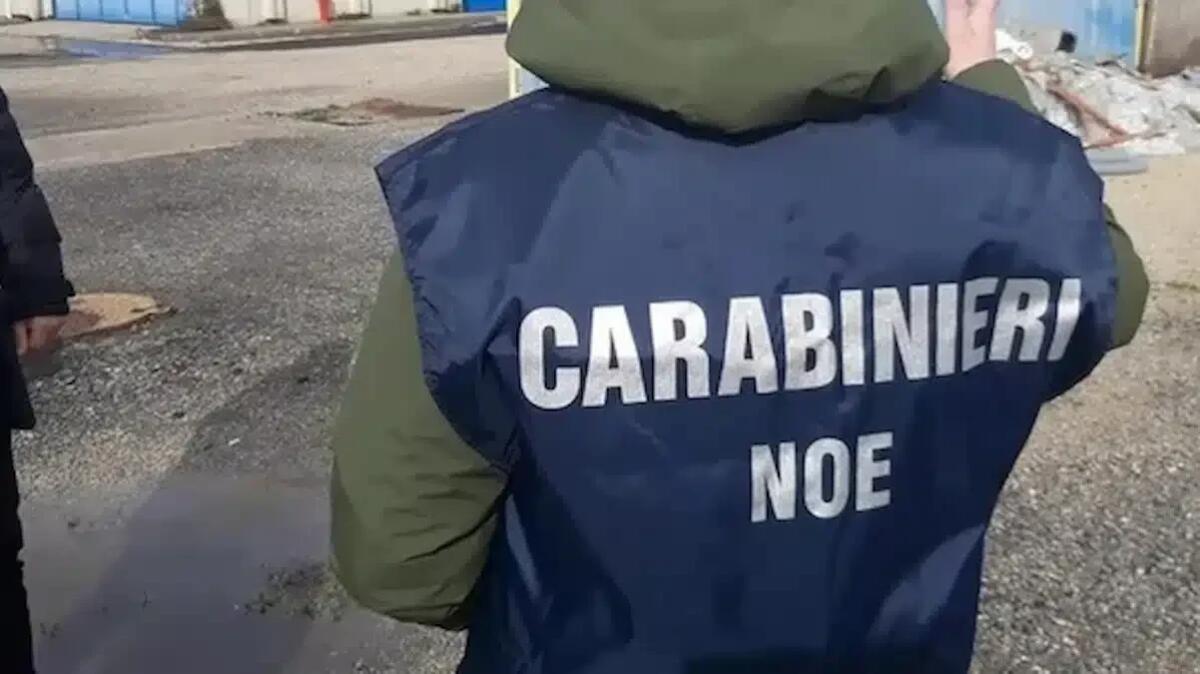 Smascherata truffa da quasi un milione in ambito PNRR: quattro trevigiani nei guai - 