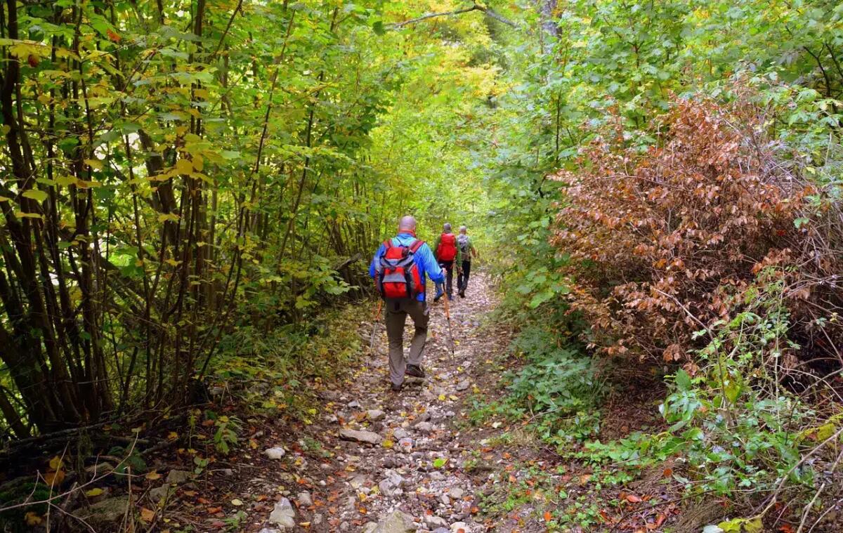 5 escursioni fresche da fare questa settimana in Friuli e Veneto -