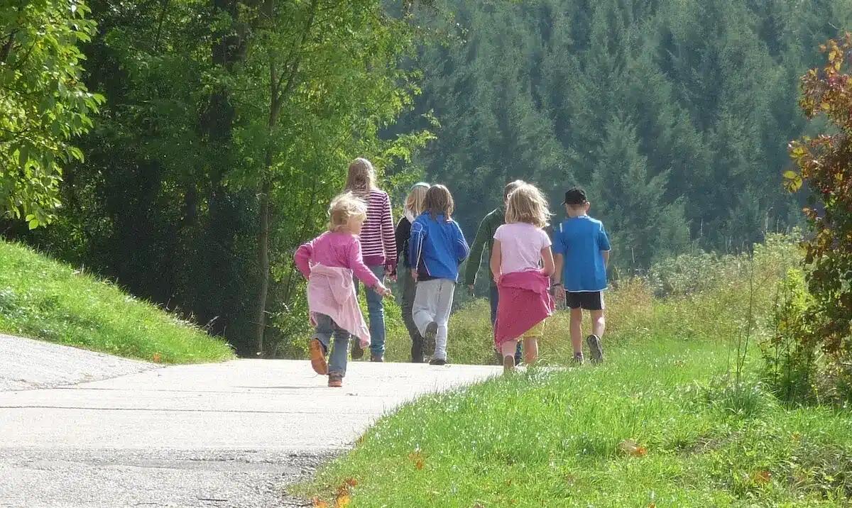 5 idee per gite di Ferragosto in Veneto tra natura e cultura - 