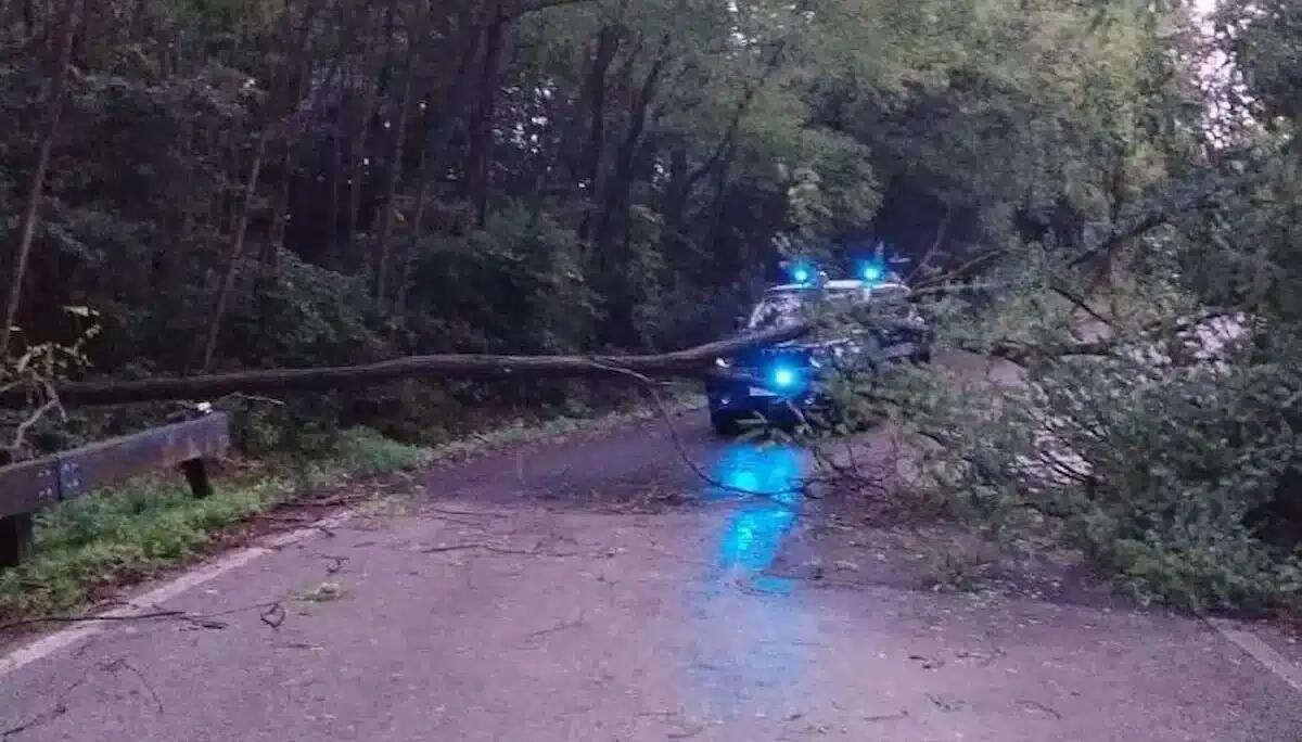 Maltempo in Veneto: 110 interventi dei pompieri tra Treviso, Padova e Venezia. La situazione - 