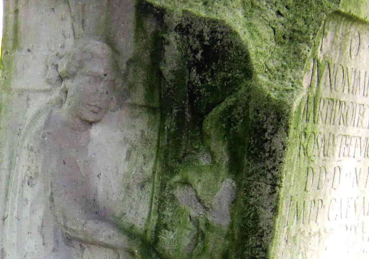 Friuli Venezia Giulia, il prof. Travain: “Ridateci l’Aquila di Aquileia” -