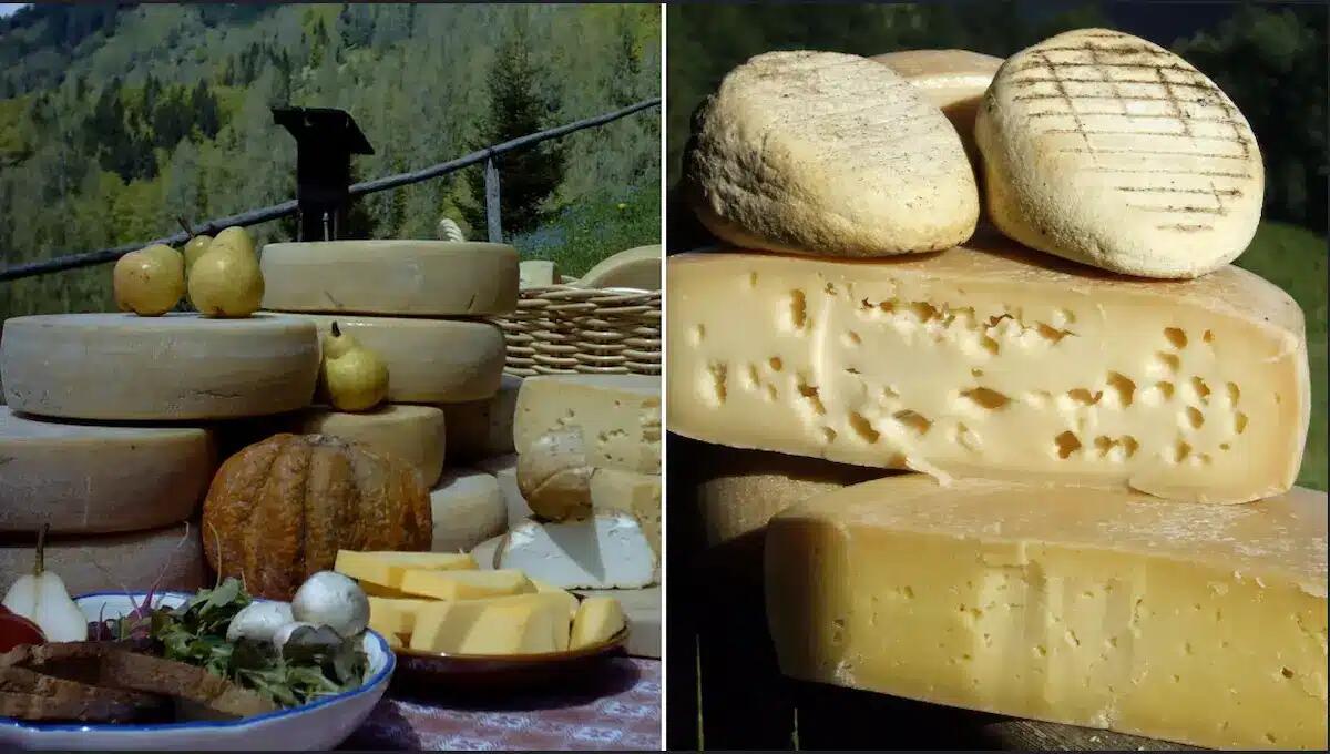 Torna la Festa dei Formaggi di Malga e dei Piccoli Frutti a Lateis di Sauris - 
