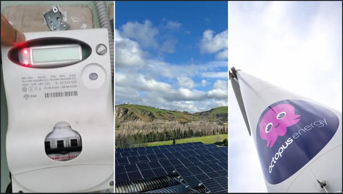 Sempre più utenti con "Octopus Energy", è boom anche tra Veneto e Friuli. «Ricavi +517%» - 