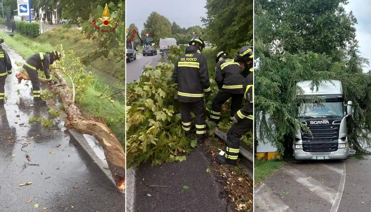 Maltempo nella Marca, alberi pericolanti e rami sulla strada: 10 interventi dei pompieri in due ore -