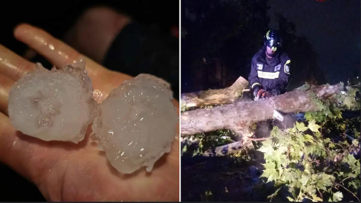 Grandine, alberi a terra e pali abbattuti dal vento: Trevigiano flagellato dal maltempo -