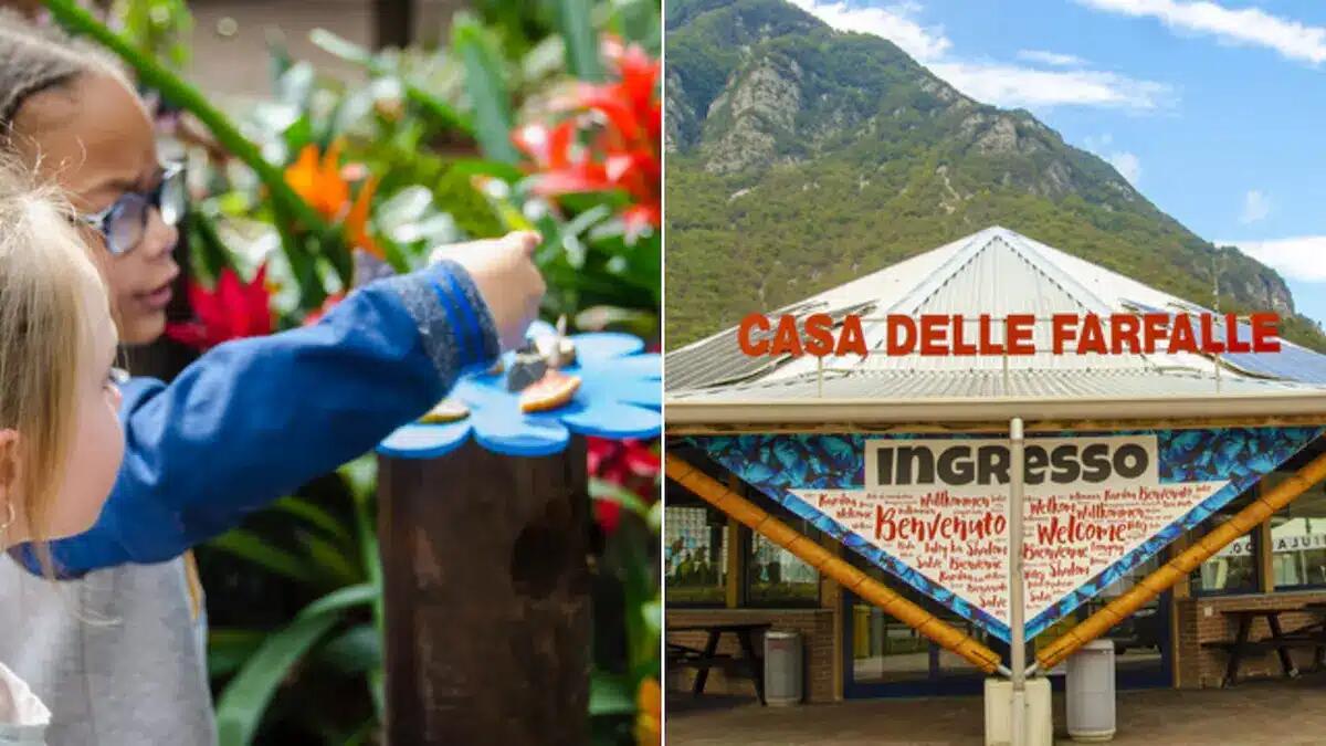 Bordano, la Casa delle Farfalle diventa eccellenza nazionale tra turismo, ricerca e sostenibilità - 