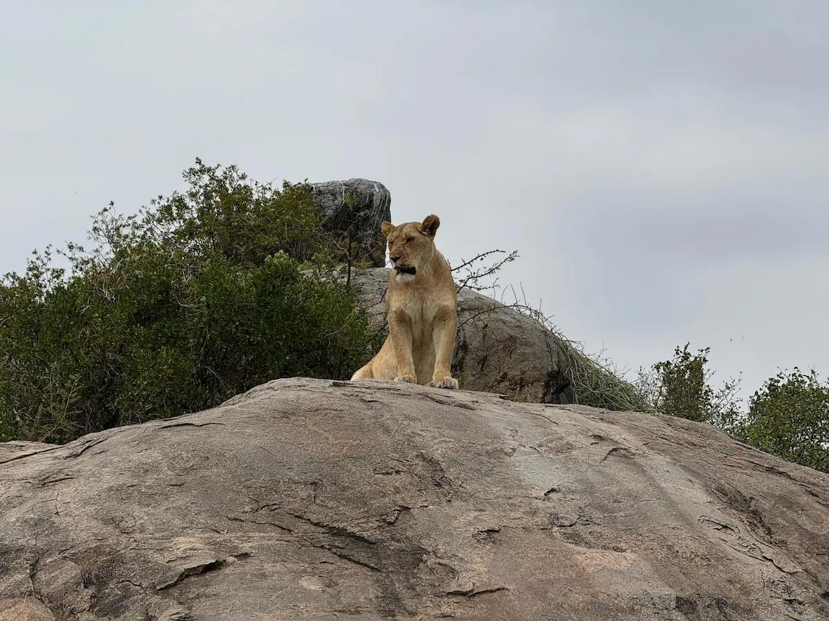 Viaggio in Tanzania, gli itinerari e parchi più belli - 